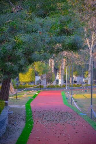 Walking Track