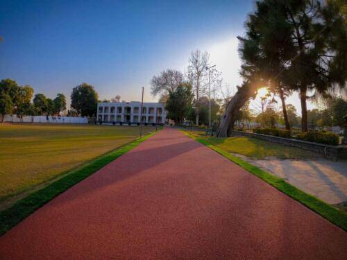 Walking Track