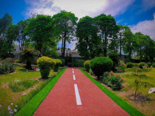 Walking Track